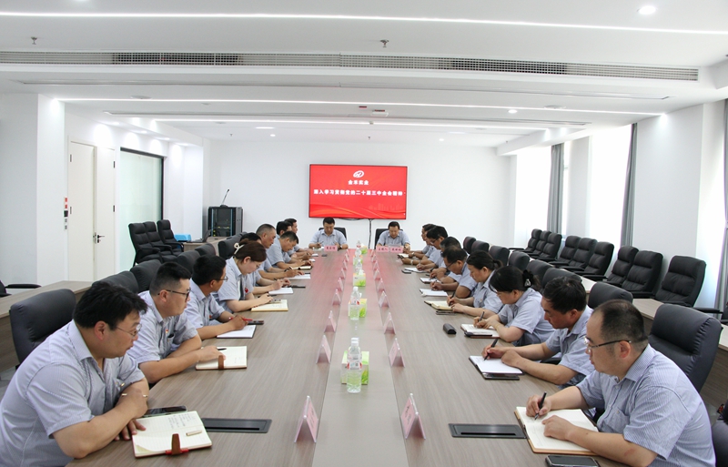 公司党委深入学习贯彻党的二十届三中全会精神